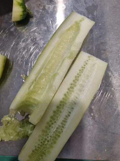 20240925%EF%BC%BF180348.jpg?type=w386