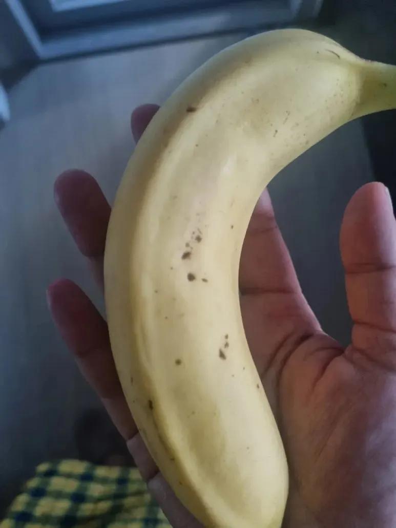 20240804%EF%BC%BF064737.jpg?type=w773