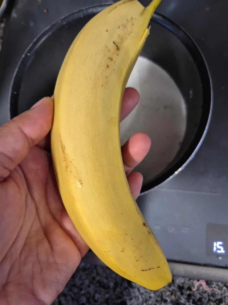 900%EF%BC%BF20250105%EF%BC%BF163921.jpg?type=w773