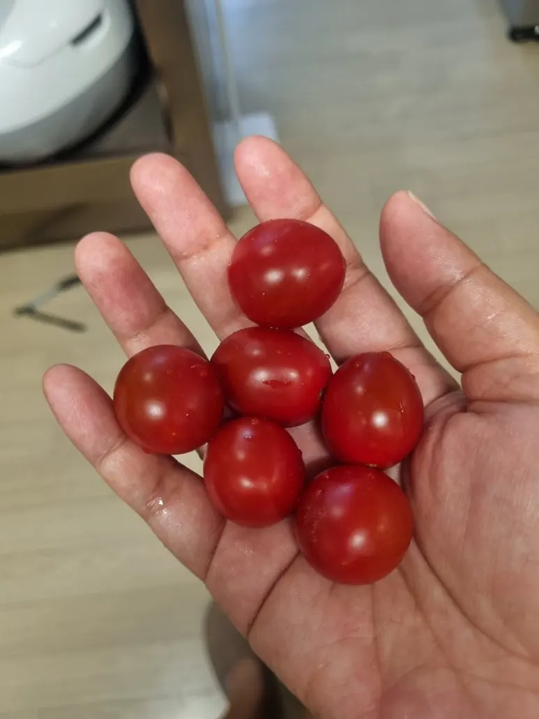 20240623%EF%BC%BF211857.jpg?type=w773