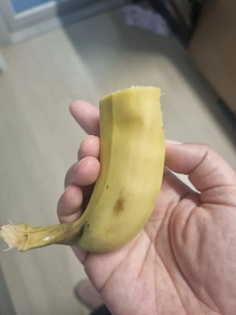 20240812%EF%BC%BF074024.jpg?type=w773