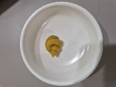 900%EF%BC%BF20250314%EF%BC%BF133115.jpg?type=w386