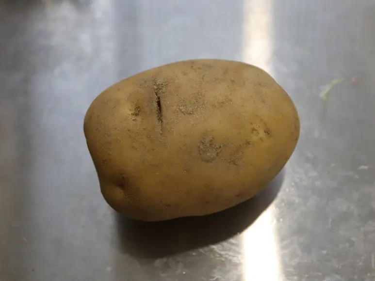 20240708025103%EF%BC%BFIMG%EF%BC%BF9287.JPG?type=w773