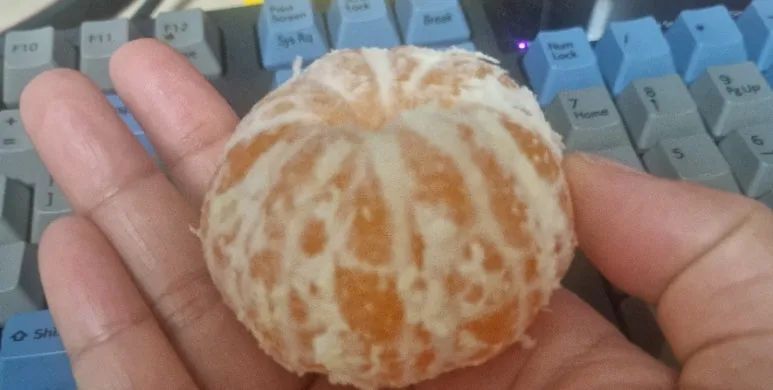 SE-a796c030-9533-11ef-bb02-9761989457dd.jpg?type=w773