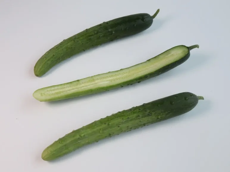 %EC%98%A4%EC%9D%B4.jpg?type=w773