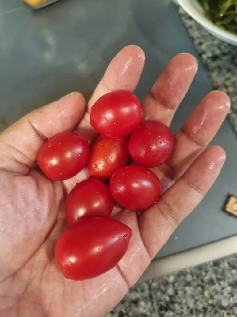 20240724%EF%BC%BF185428.jpg?type=w773