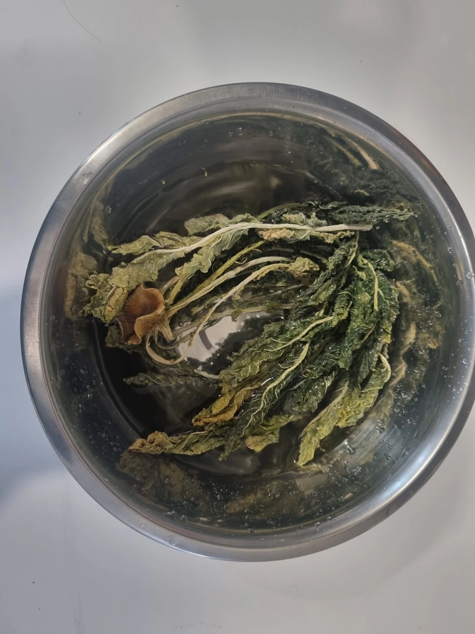 20240203%EF%BC%BF131827.jpg?type=w1