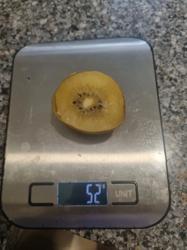 900%EF%BC%BF20241118%EF%BC%BF084431.jpg?type=w773