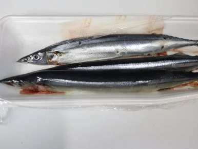 20240409030528%EF%BC%BFIMG%EF%BC%BF5540.JPG?type=w386&jopt=2