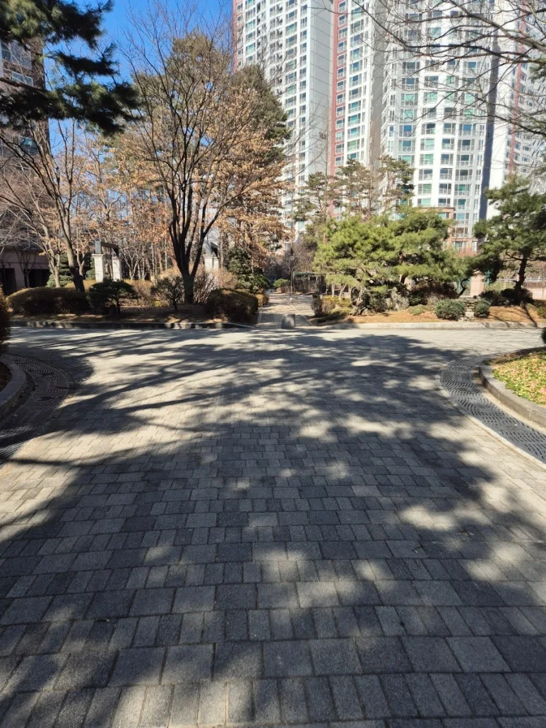 900%EF%BC%BF20250224%EF%BC%BF141444.jpg?type=w773