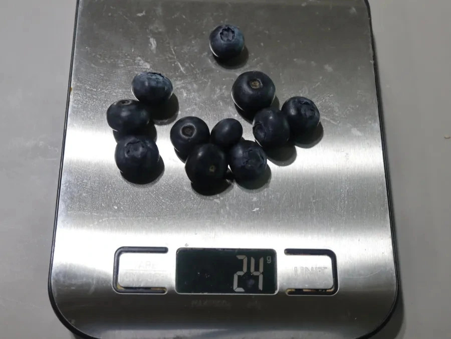 900%EF%BC%BFIMG%EF%BC%BF3983.JPG?type=w966