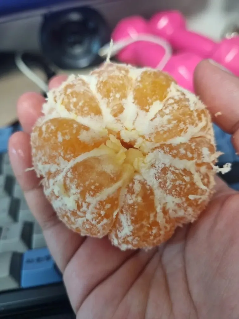 20240904%EF%BC%BF100634.jpg?type=w773