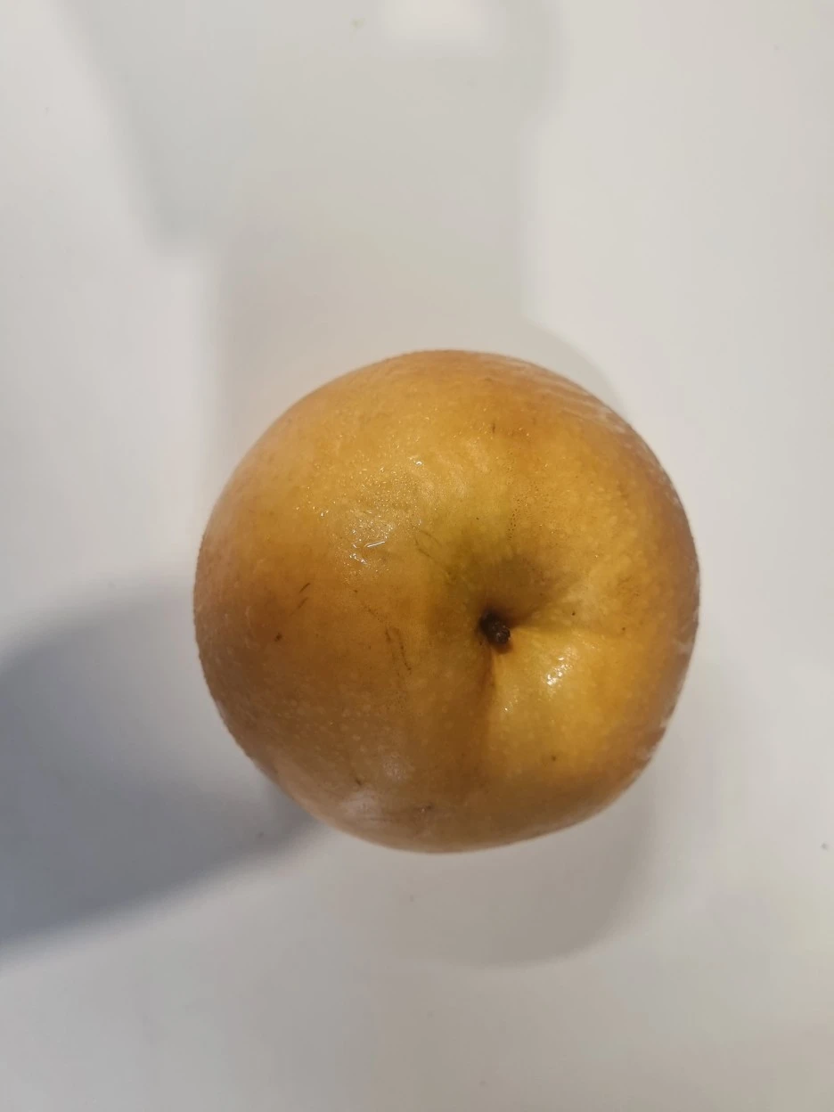 20240213%EF%BC%BF183049.jpg?type=w1