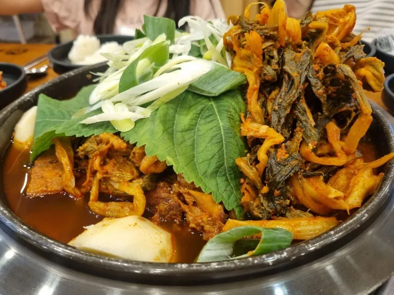 20240623%EF%BC%BF132145.jpg?type=w773