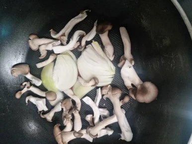 20241101%EF%BC%BF121741.jpg?type=w386