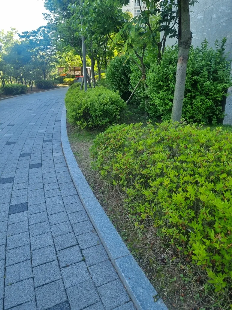 20240528%EF%BC%BF090433.jpg?type=w773