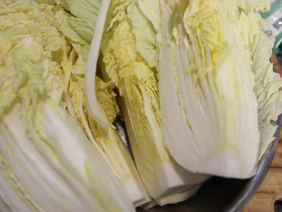 20240303010436%EF%BC%BFIMG%EF%BC%BF3527_%EF%BC%881%EF%BC%89.JPG?type=w1