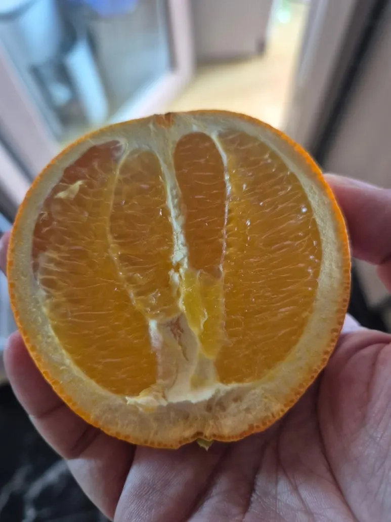 900%EF%BC%BF20250402%EF%BC%BF122635.jpg?type=w773