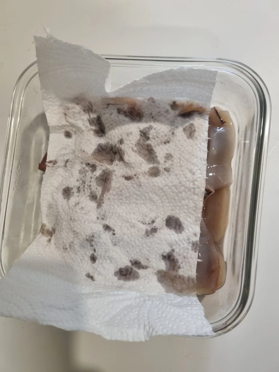 20240206%EF%BC%BF212639.jpg?type=w1