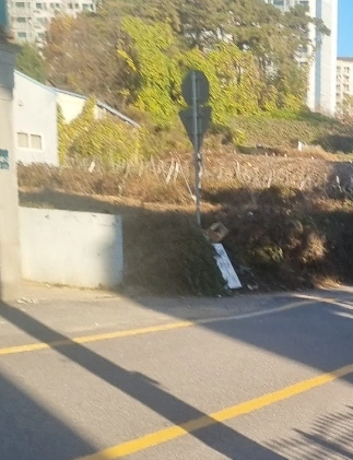 SE-49618859-aaac-11ef-809b-c3bbb0a6569b.jpg?type=w773