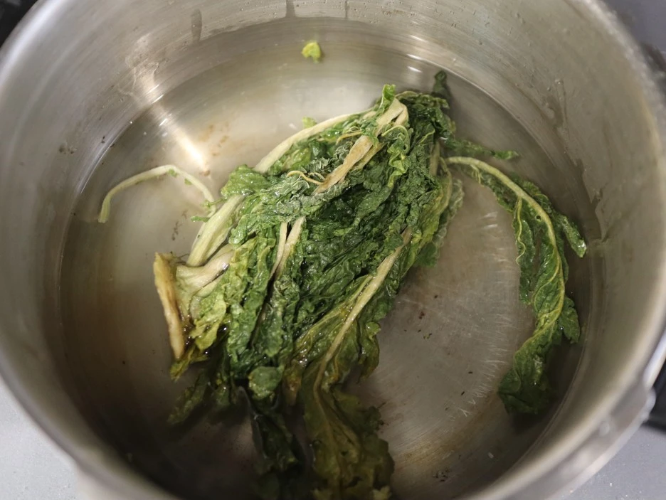 20240307021343%EF%BC%BFIMG%EF%BC%BF3707_%EF%BC%881%EF%BC%89.JPG?type=w1