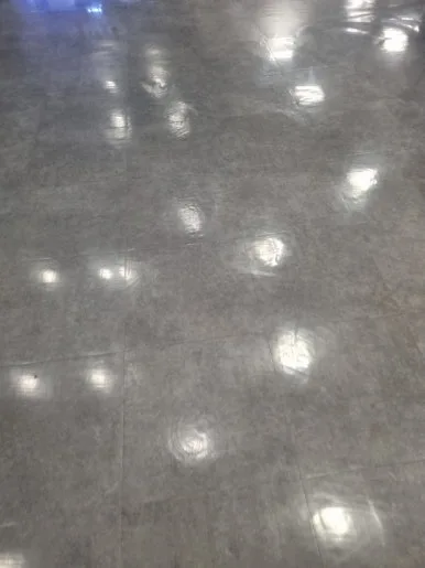 20240902%EF%BC%BF180814.jpg?type=w386