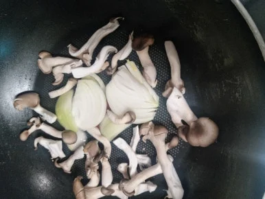 20241101%EF%BC%BF121739.jpg?type=w386