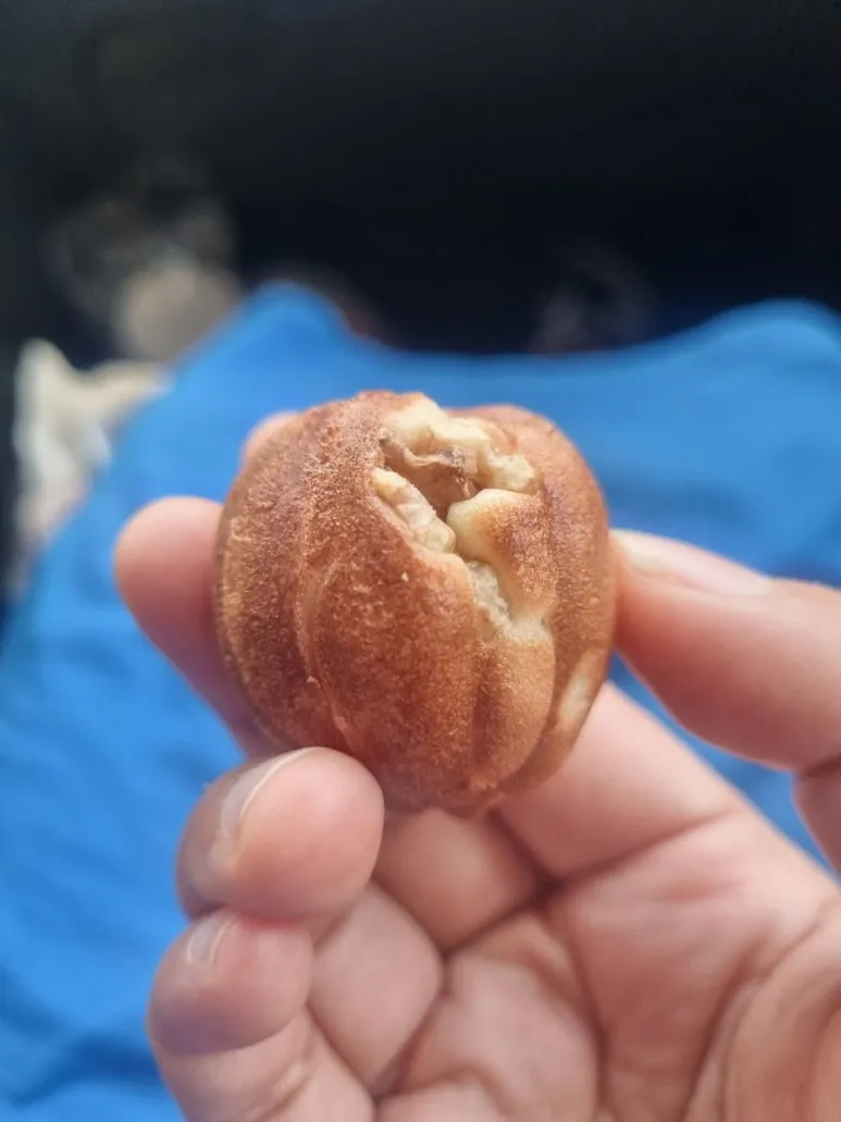 20240812%EF%BC%BF141117.jpg?type=w773