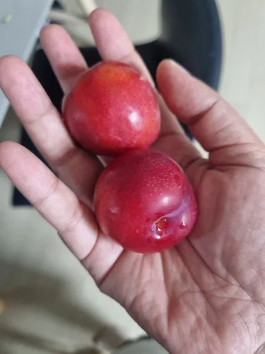 20240629%EF%BC%BF154609.jpg?type=w386