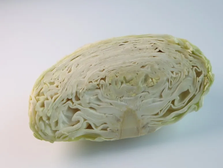 900%EF%BC%BFIMG%EF%BC%BF3513.JPG?type=w773