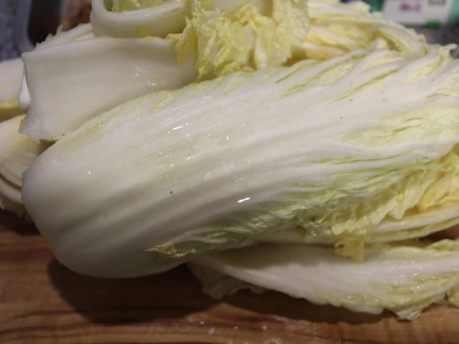 20240303064126%EF%BC%BFIMG%EF%BC%BF3613_%EF%BC%881%EF%BC%89.JPG?type=w1