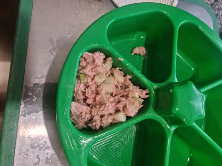 900%EF%BC%BF20241106%EF%BC%BF080552.jpg?type=w773