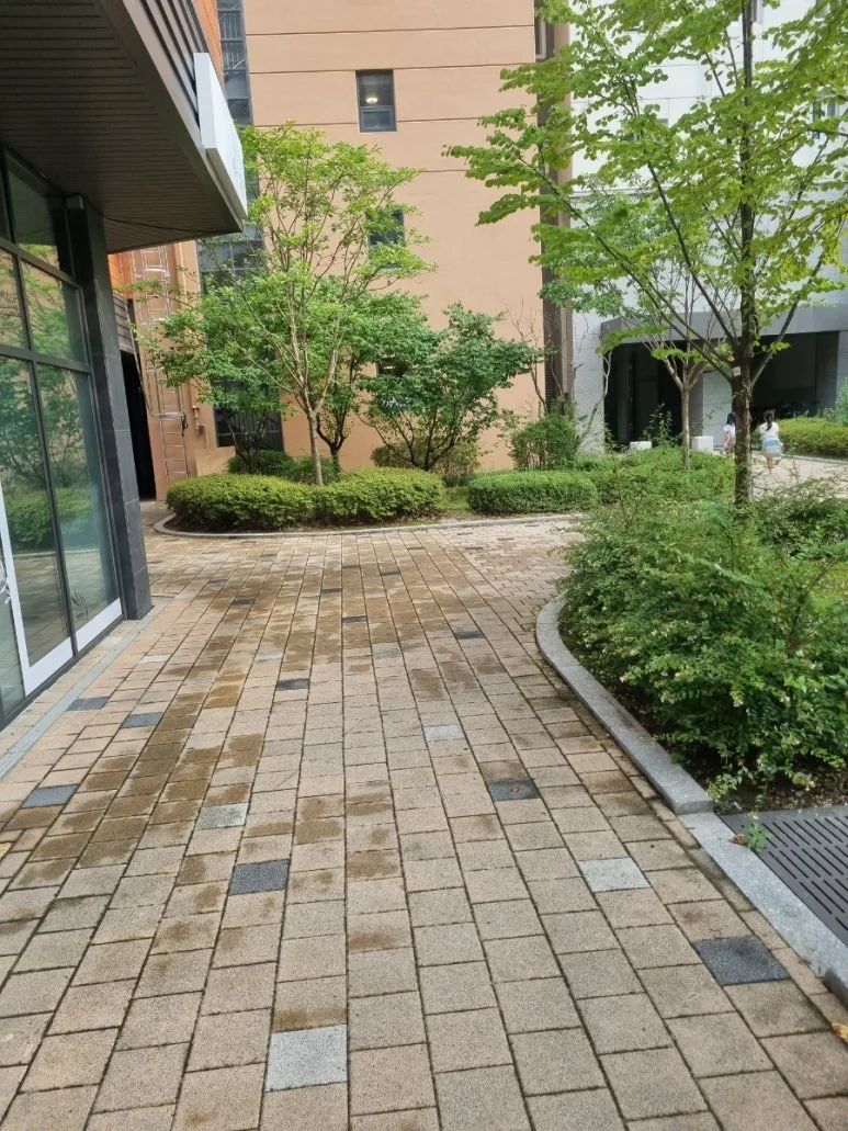 20240823%EF%BC%BF164748.jpg?type=w773