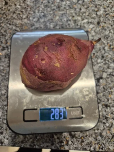 900%EF%BC%BF20241219%EF%BC%BF171451.jpg?type=w386