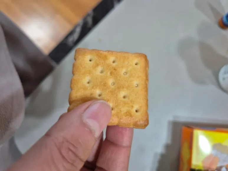 900%EF%BC%BF20250319%EF%BC%BF082623.jpg?type=w773