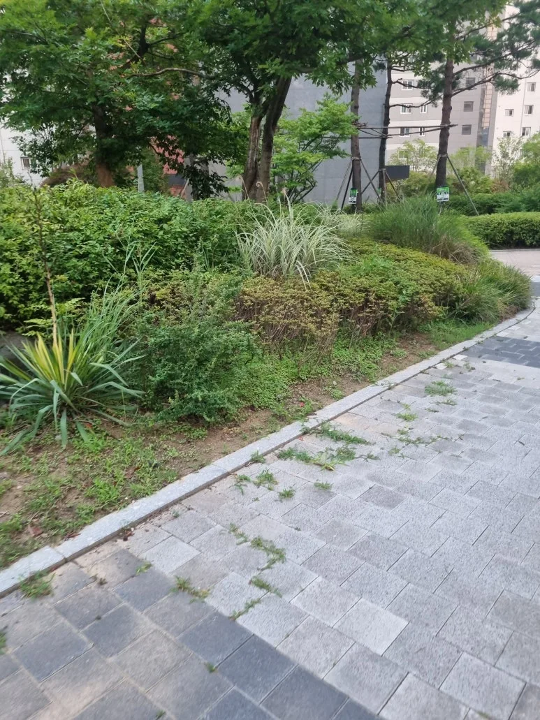 20240712%EF%BC%BF193113.jpg?type=w773