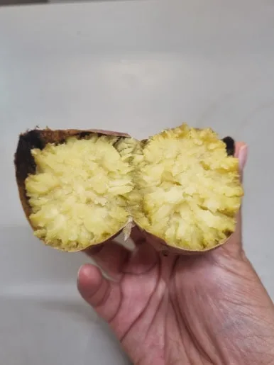 20240712%EF%BC%BF174310.jpg?type=w386