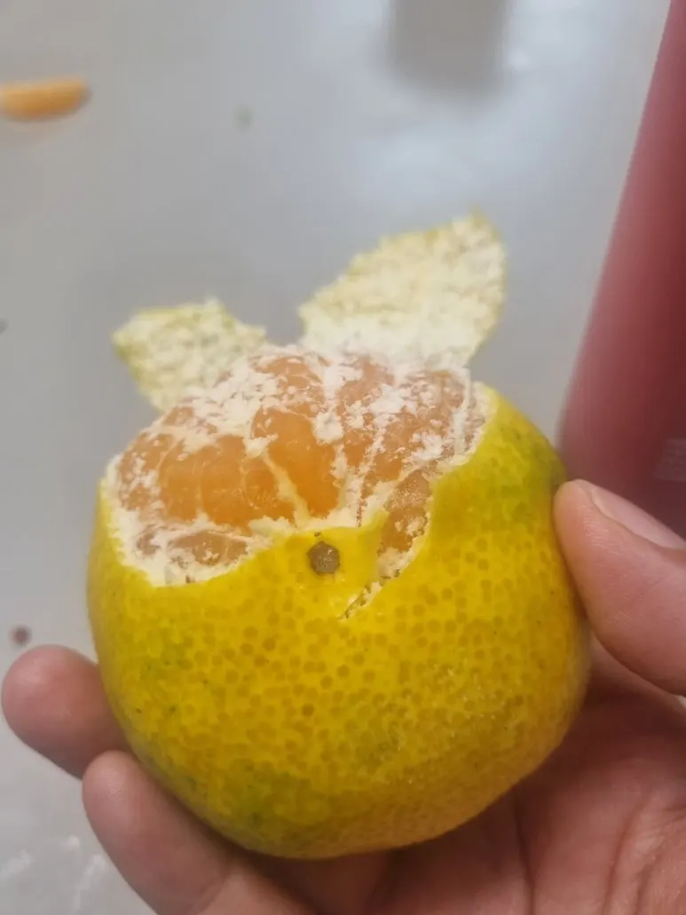 20240828%EF%BC%BF174951.jpg?type=w773