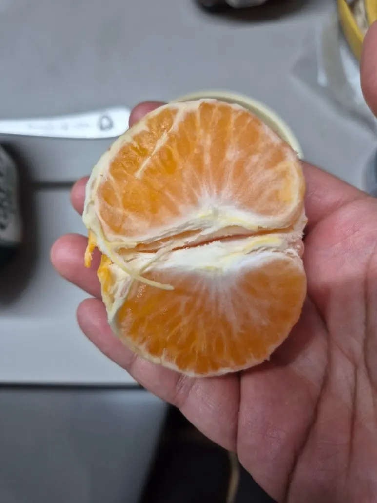 900%EF%BC%BF20250106%EF%BC%BF072859.jpg?type=w773