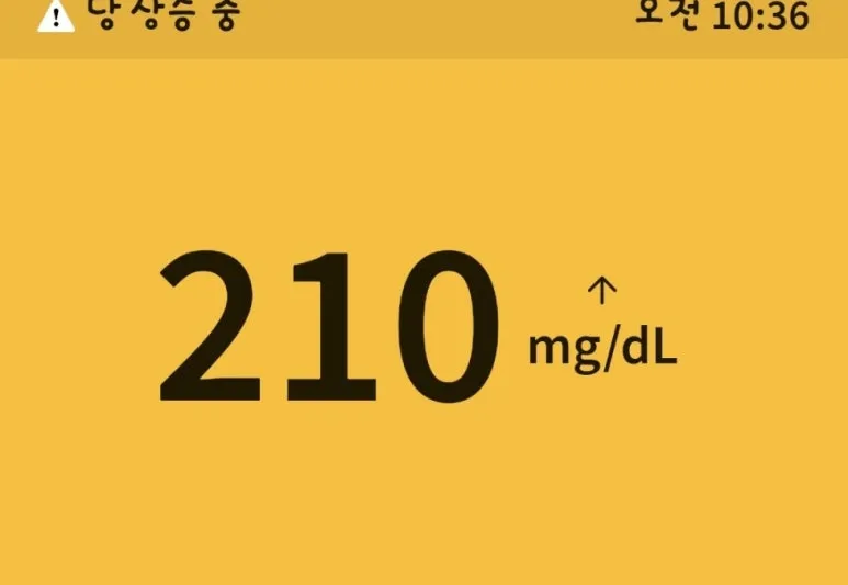 1720475725877.jpg?type=w773