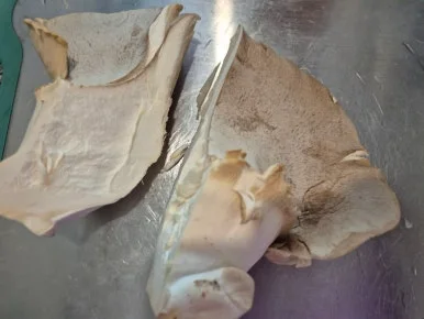 SE-bb235dee-b6ce-11ef-9655-ab5814603333.jpg?type=w386