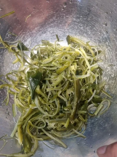 20240818%EF%BC%BF182026.jpg?type=w386