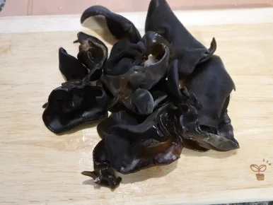 20240521030232%EF%BC%BFIMG%EF%BC%BF7858.JPG?type=w386