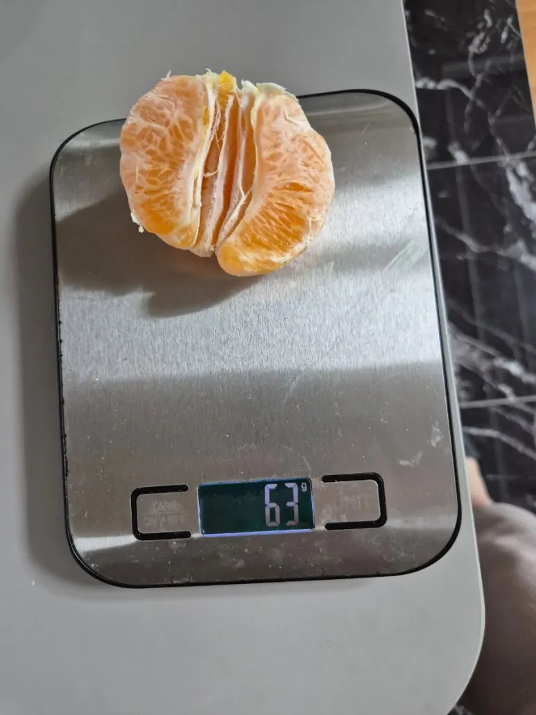 900%EF%BC%BF20250319%EF%BC%BF074919.jpg?type=w773