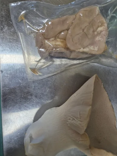 900%EF%BC%BF20250222%EF%BC%BF123540.jpg?type=w386