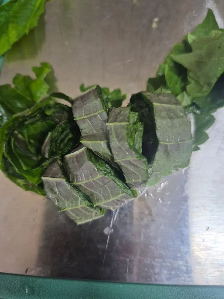 900%EF%BC%BF20250507%EF%BC%BF173640.jpg?type=w773