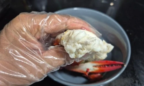 ?src=%22https%3A%2F%2Fblogthumb.pstatic.net%2FMjAyNTA4MjdfMTQ2%2FMDAxNzU2MjUxMTg5MzI0.XjDH2Ca0XkpWhOBcck6f6M9Dzw_CM5bgcR8Dn2IDYSIg.a_pXSfigQindWV5qNg_9IkcWBdQzZTn8tdy3OnqxijYg.JPEG%2F900%25A3%25DF20250825%25A3%25DF183820.jpg%3Ftype%3Dw2%22&type=ff500_300