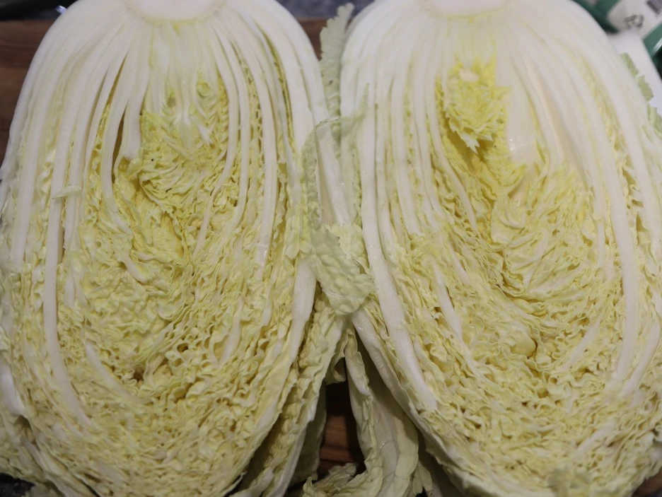 20240303010151%EF%BC%BFIMG%EF%BC%BF3526_%EF%BC%881%EF%BC%89.JPG?type=w1