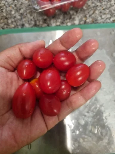 20240721%EF%BC%BF203444.jpg?type=w386