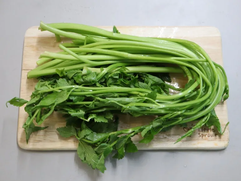 20240531201922%EF%BC%BFIMG%EF%BC%BF8307.JPG?type=w773